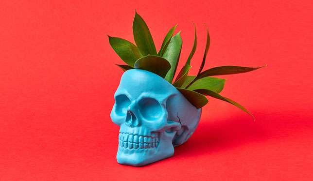 flower pot picture 2