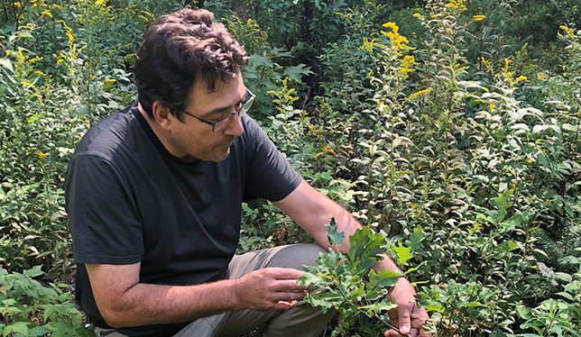 Man with plants