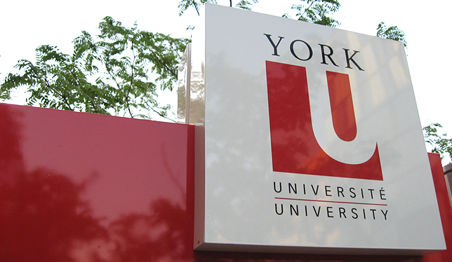 York University