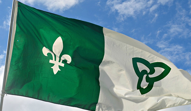 Flag picture