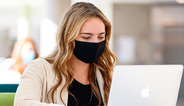 Girl working in laptop picture 2