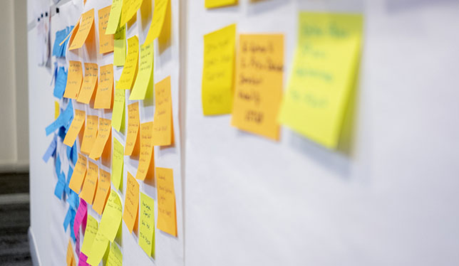 sticky notes on wall